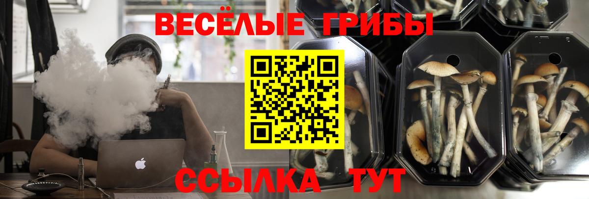 Аксай  Галлюциногенные грибы Magic Shrooms  Вход с VPN 